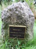 image of grave number 648773